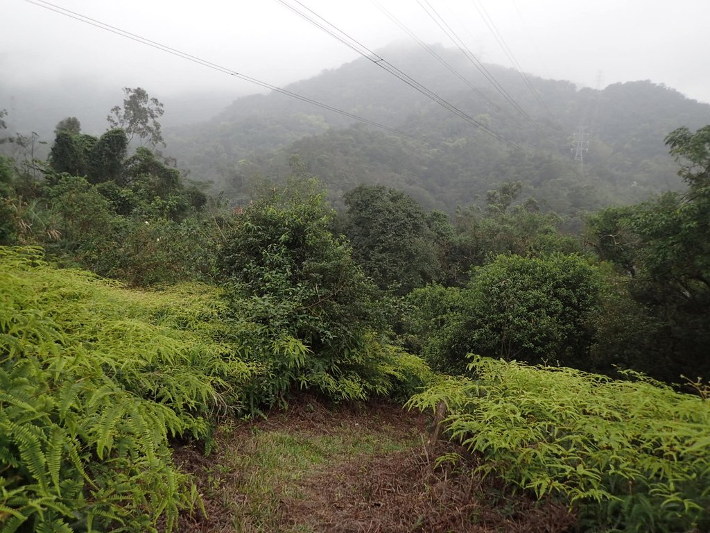 P3018962.JPG - 汐止  白匏湖秘徑