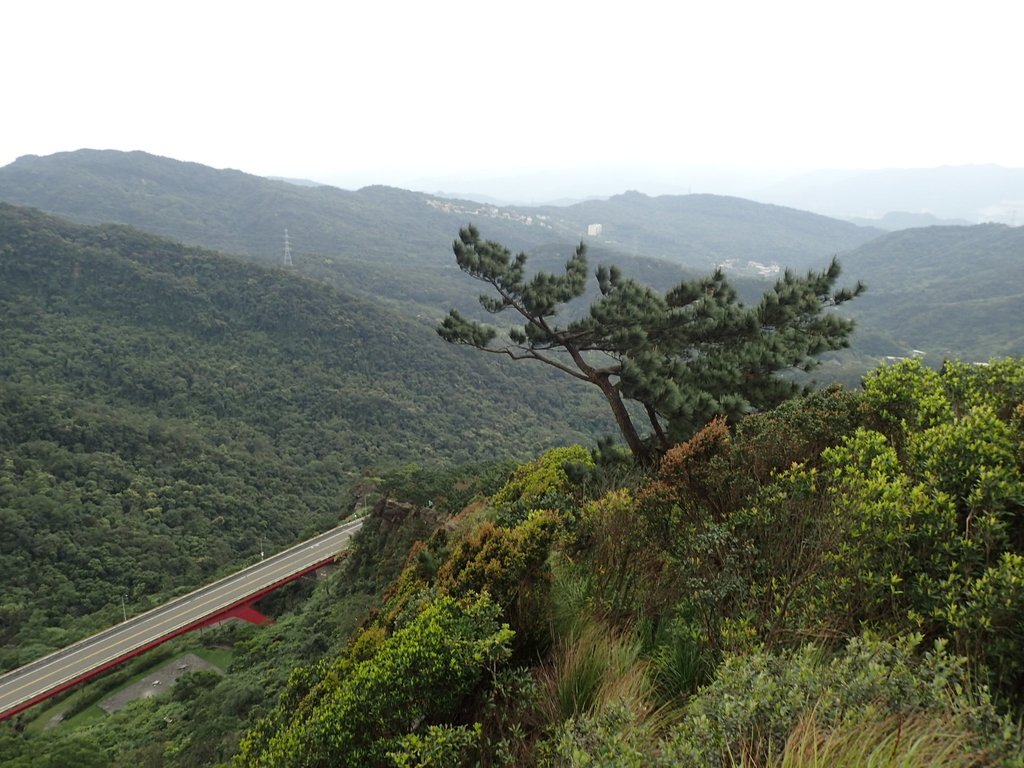 P3160162.JPG - 汐止  金面山(金明山)  稜線步道