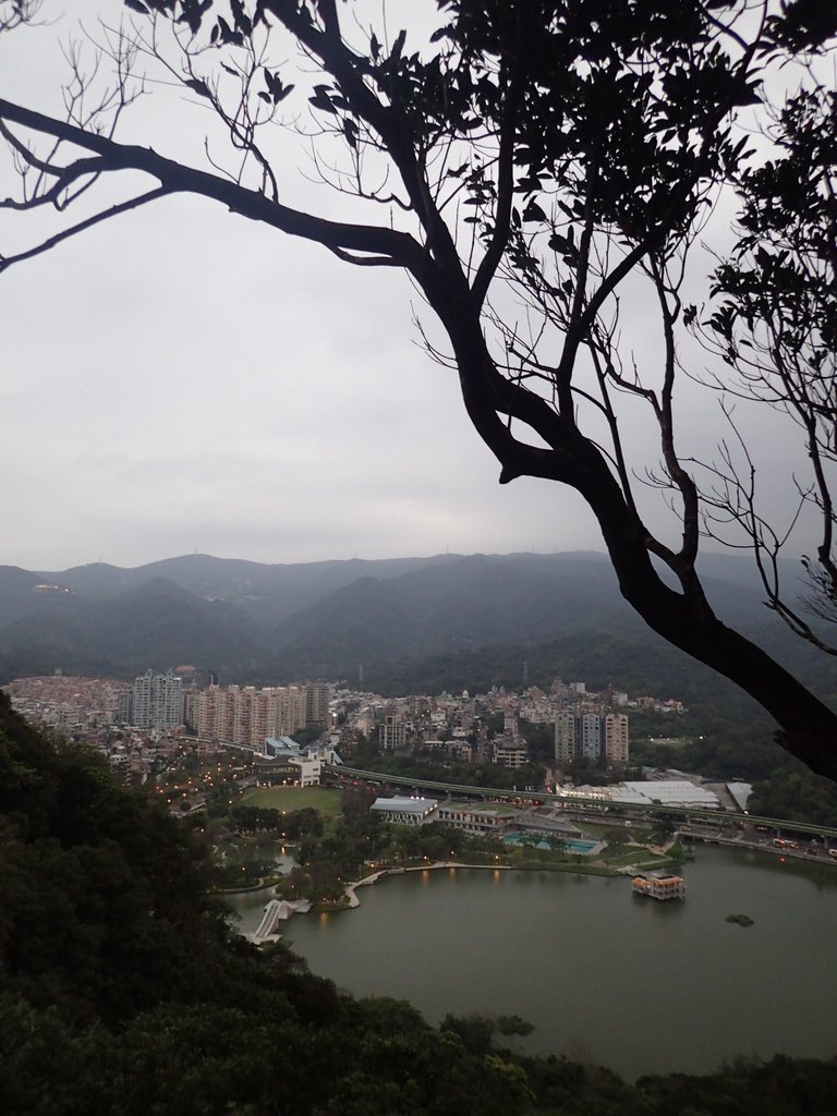 P3116948.JPG - 內湖  白鷺鷥山親山步道