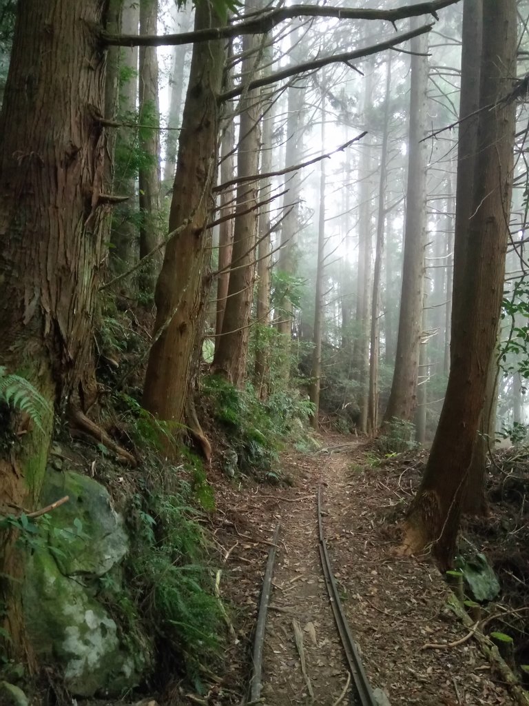 DSC_3759.JPG - 南庄  加里山  森林鐵道