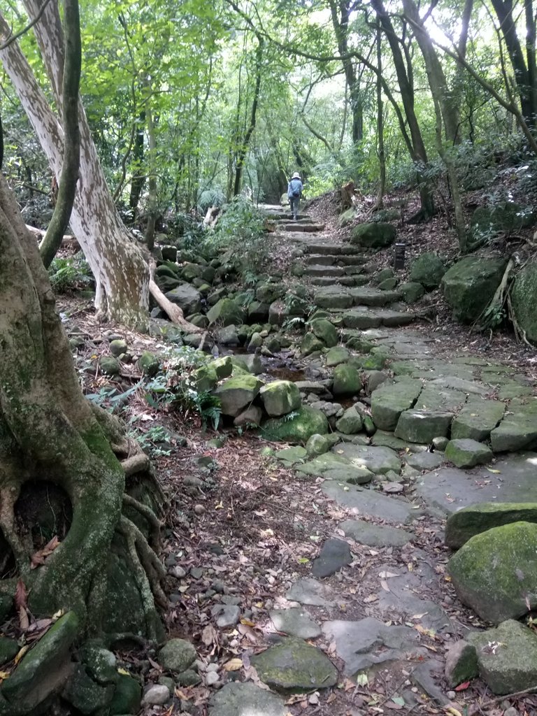 DSC_8646.JPG - 再訪  金包里大道  (魚路古道)