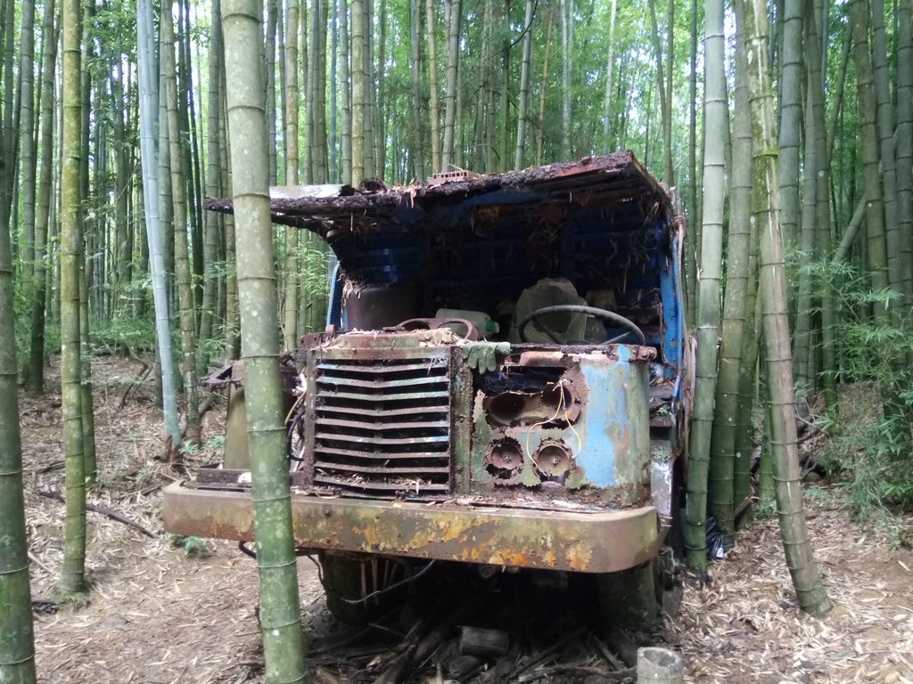 DSC_5226.JPG - 台中和平  長壽山登山步道  (中)