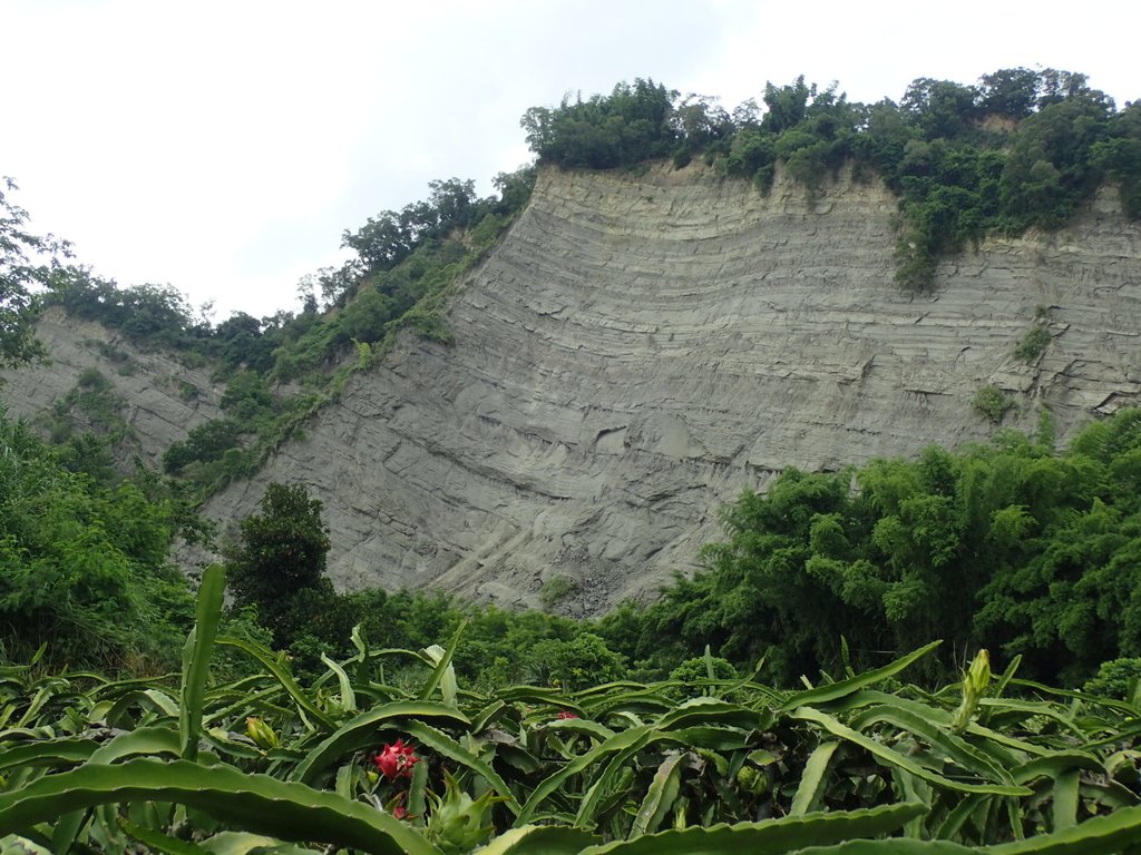 P6284997.JPG - 霧峰  烏溪北岸之  象鼻坑風光