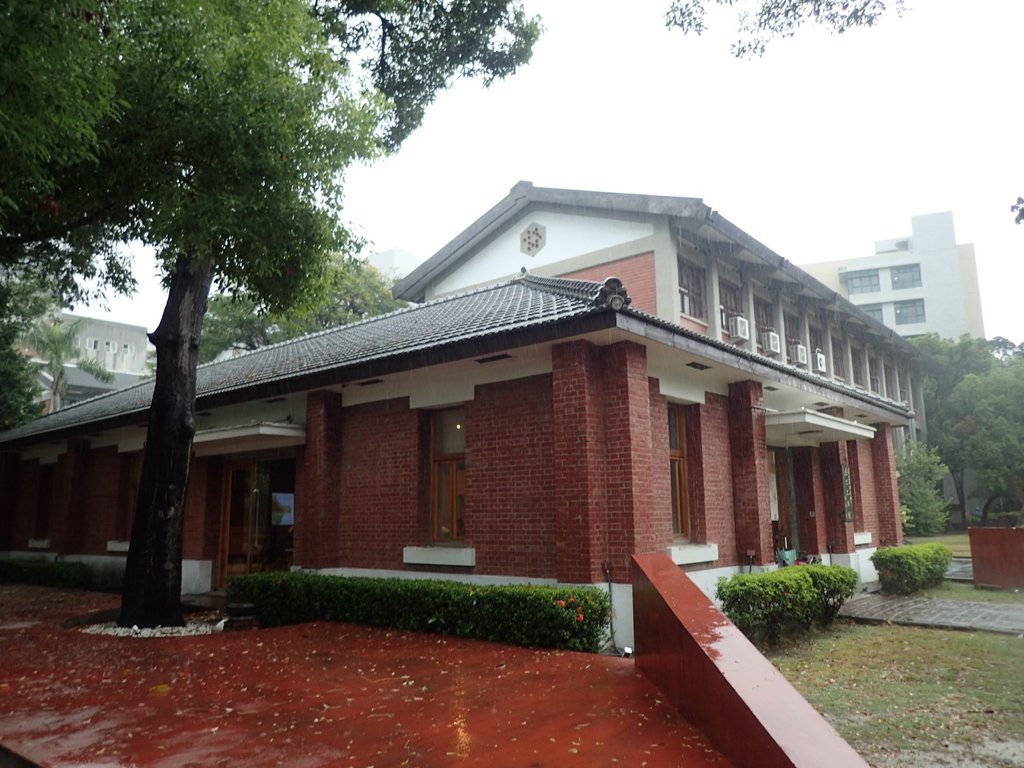 PB074475.JPG - 台南  成功大學  校園掠影