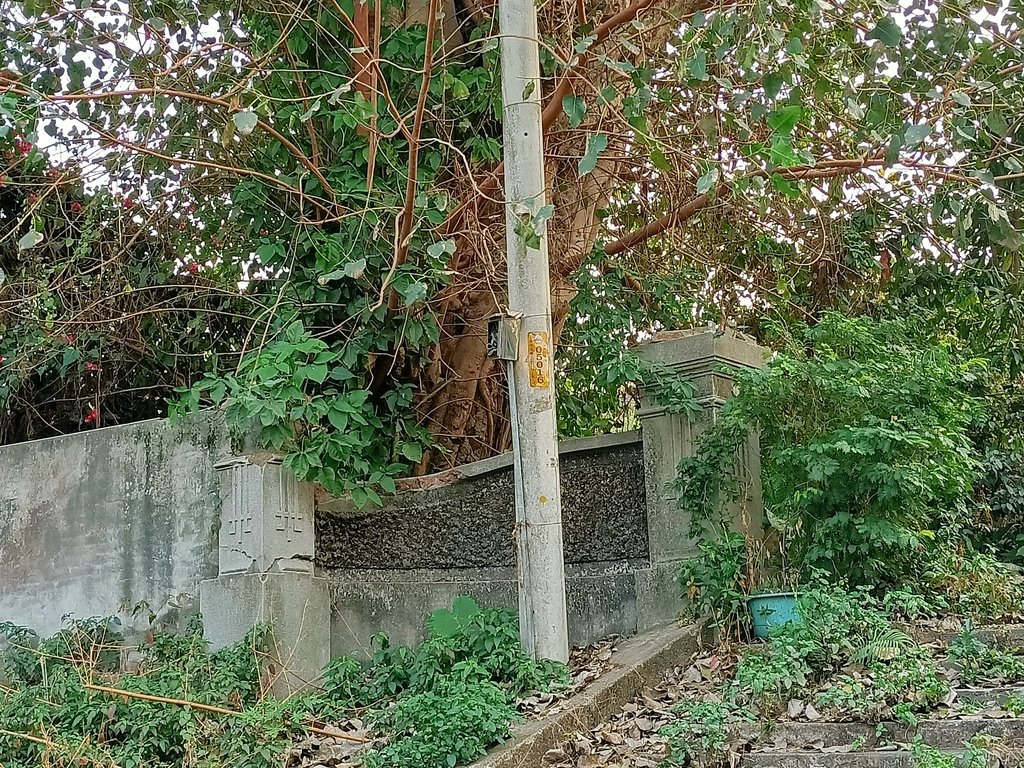 IMG20210205165347.jpg - 原  南投尋常高等小學校  遺跡