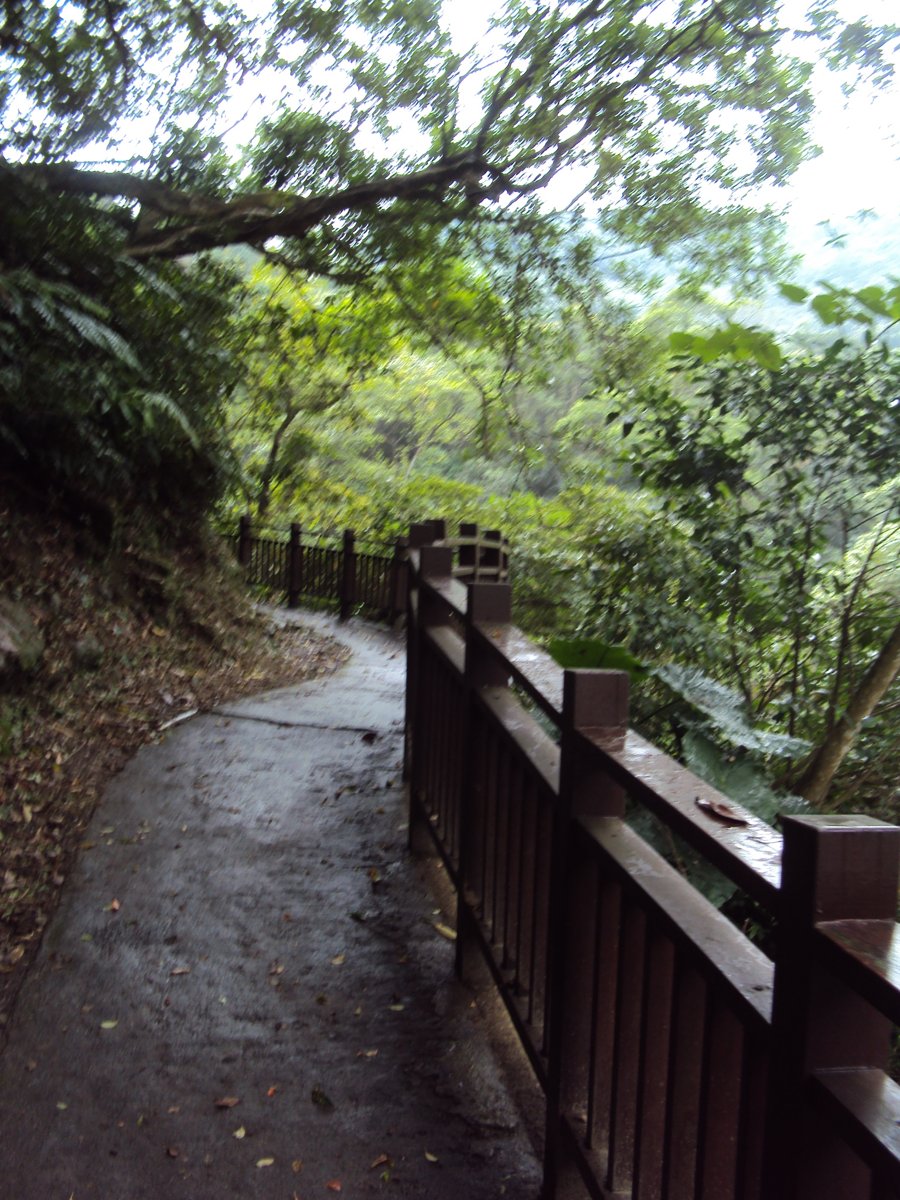 DSC07565.JPG - 基隆  暖東峽谷步道