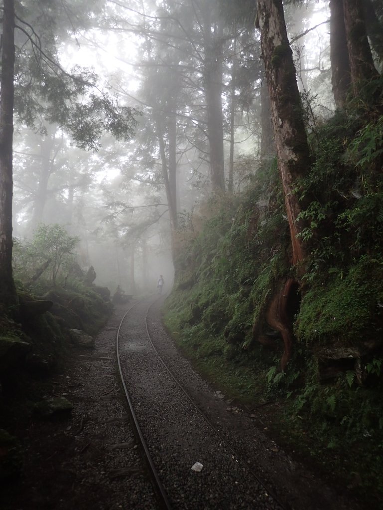 P8226790.JPG - 太平山 見晴懷古步道