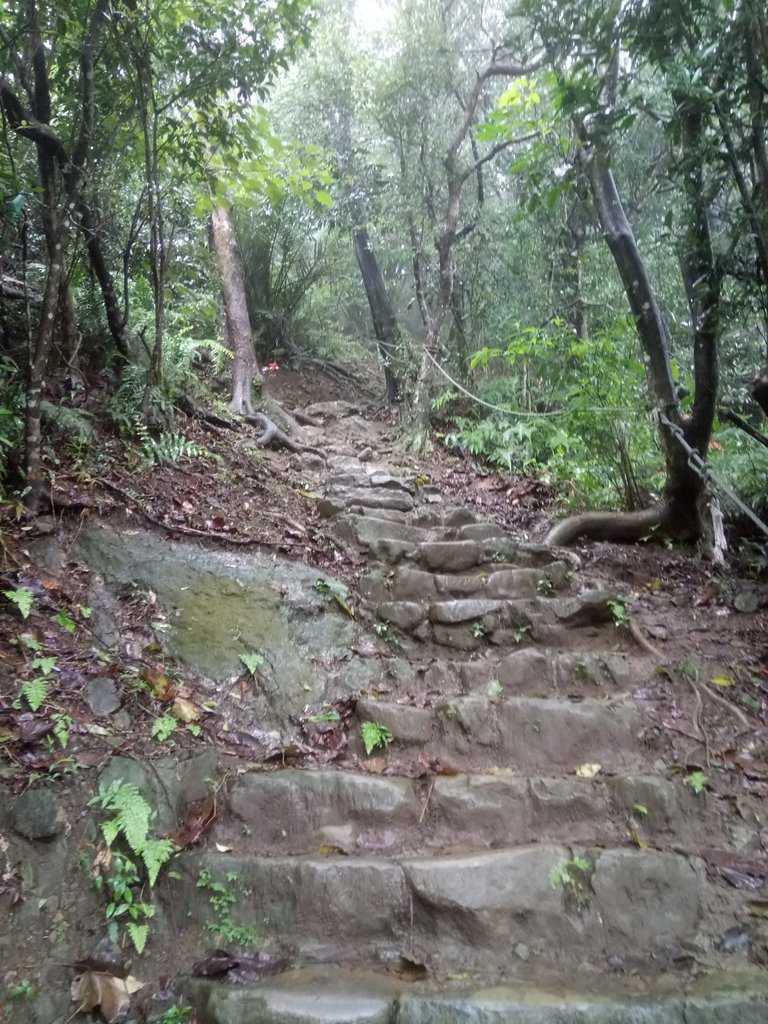 DSC_1736.JPG - 土城  天上山  登山步道