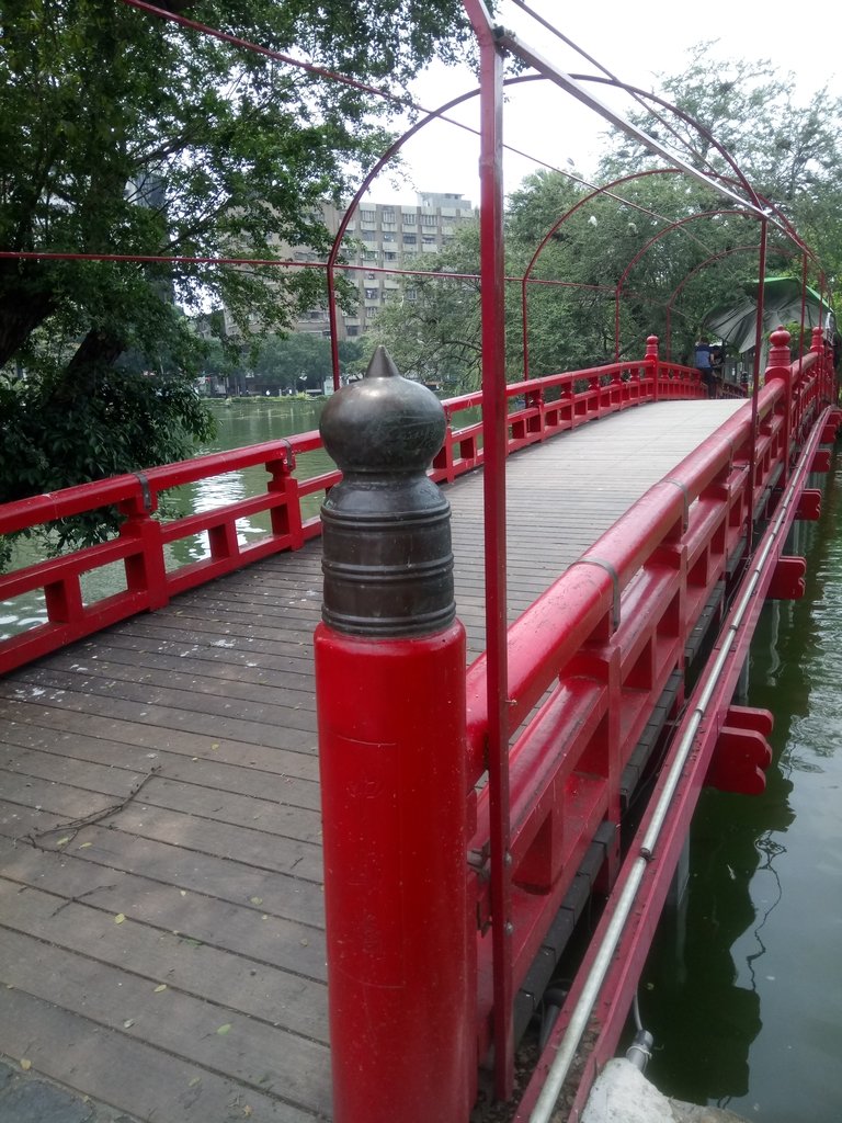 DSC_9918.JPG - 散步  台中公園一隅