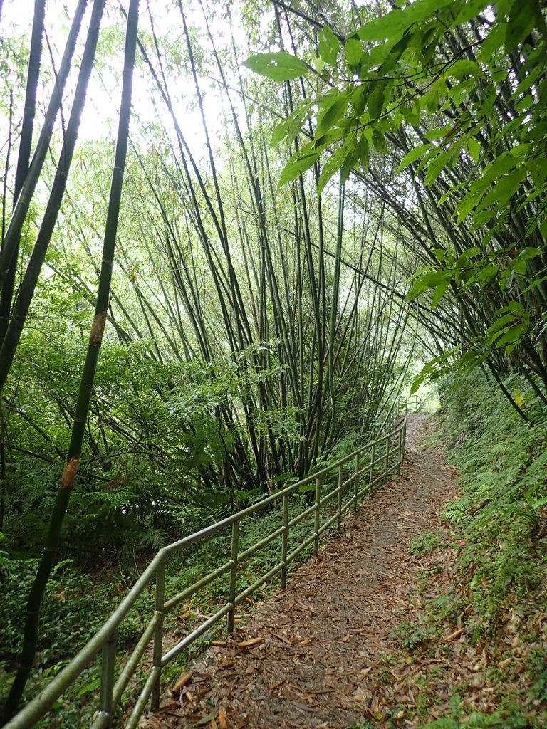 P4051070.JPG - 深坑  炮子崙登山步道