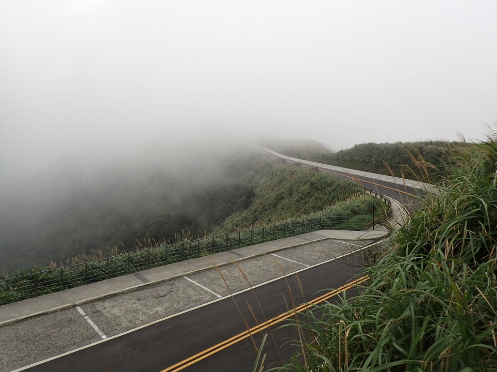 P1203533.JPG - 瑞芳  牡丹山