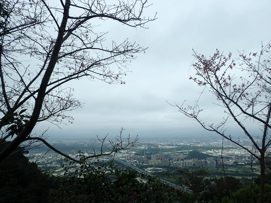 P2168018.JPG - 三峽  鳶山  (福德坑山)