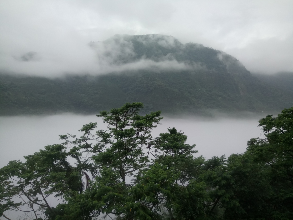 DSC_1148.JPG - 古坑  草嶺  雲山繚繞