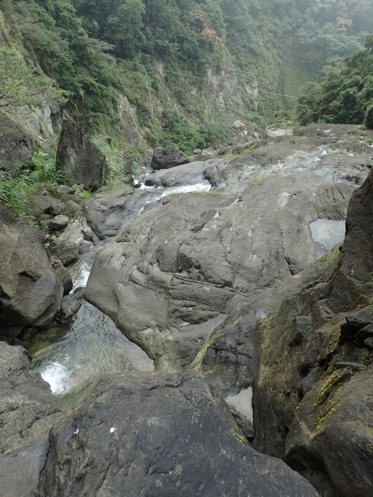 PA231590.JPG - 草嶺  蓬萊瀑布步道