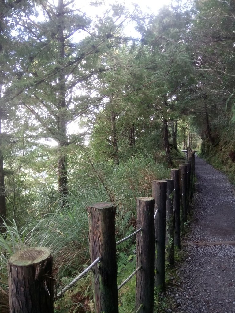 DSC_0127.JPG - 太平山  翠峰湖環山步道  01