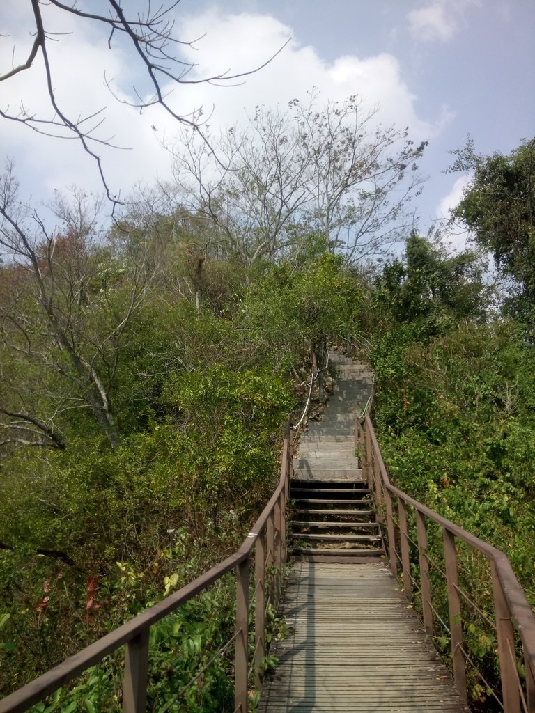 DSC_7303.JPG - 草屯平林  九九峰森林步道