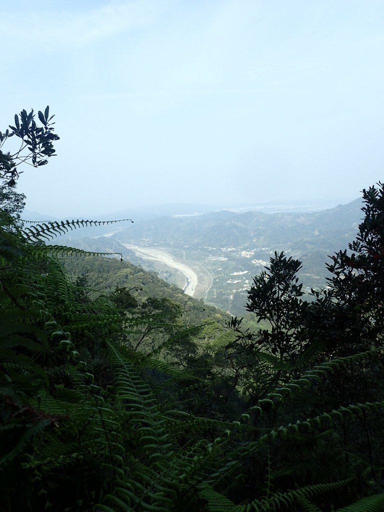 P3217580.JPG - 谷關七雄  白毛山  02