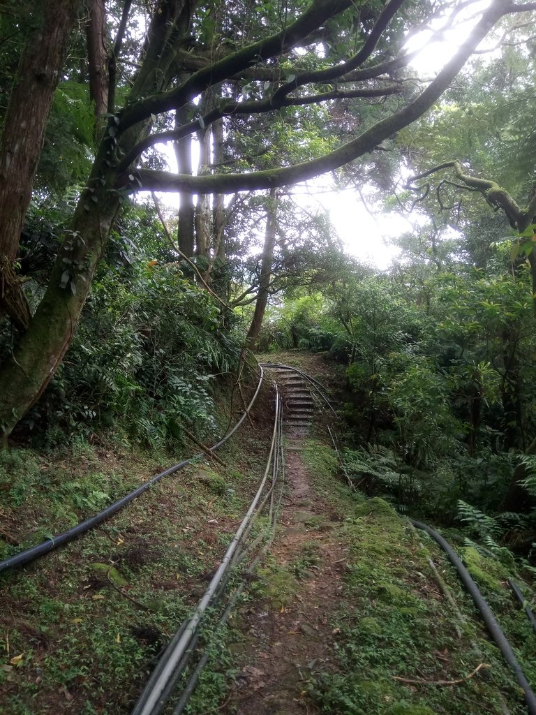 DSC_7190.JPG - 坪林  水聳淒坑步道