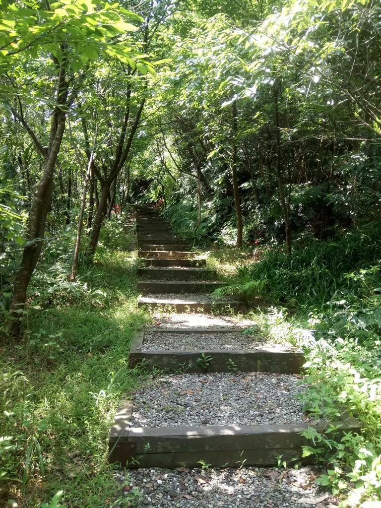 DSC_6644.JPG - 基隆  樂利山  遠眺新山水庫