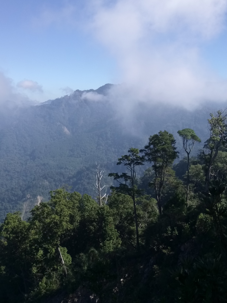 DSC_2627.JPG - 台中  和平  稍來山