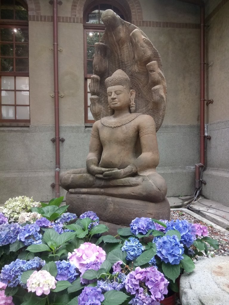 DSC_5667.JPG - 溫州街  大院子