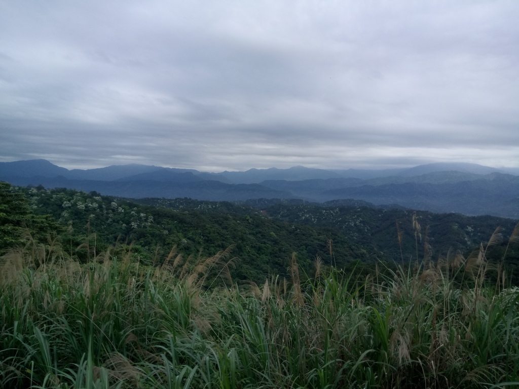 DSC_5894.JPG - 芎林  飛鳳山  (中坑山)