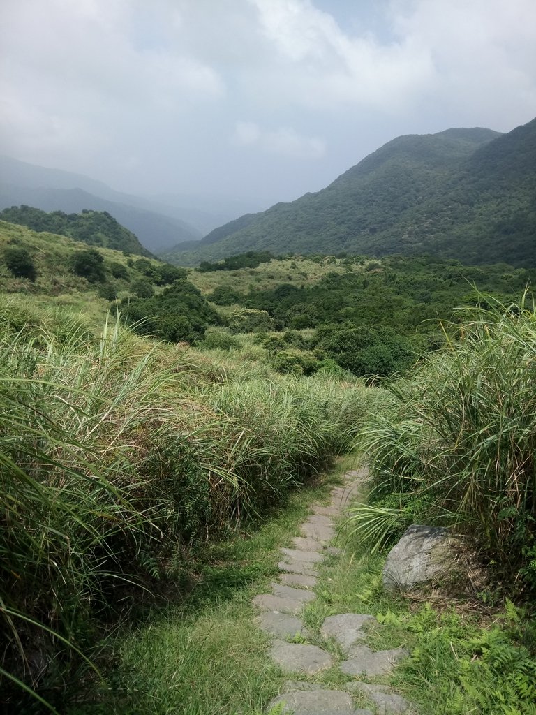 DSC_8648.JPG - 再訪  金包里大道  (魚路古道)