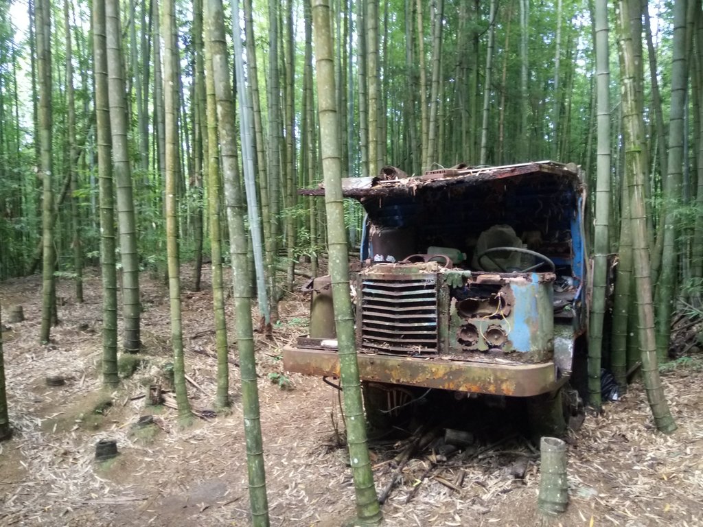 DSC_5227.JPG - 台中和平  長壽山登山步道  (中)