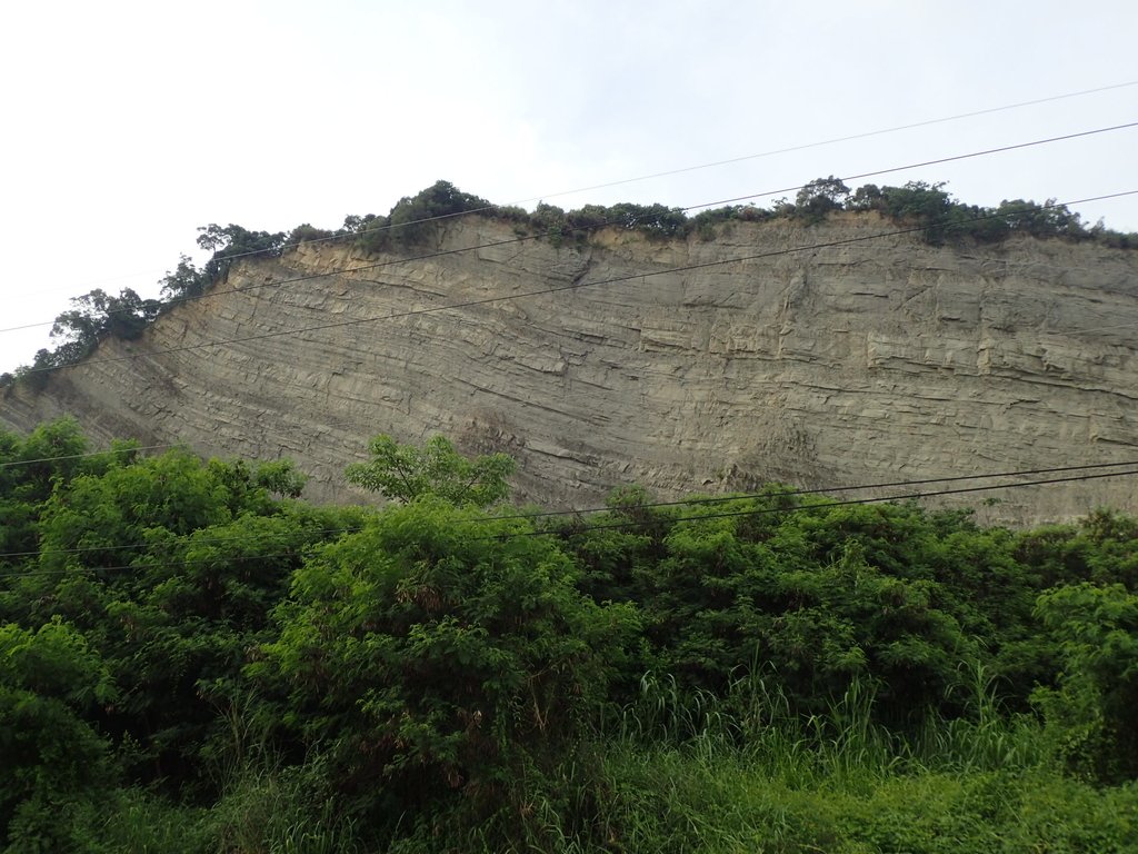 P6285001.JPG - 霧峰  烏溪北岸之  象鼻坑風光