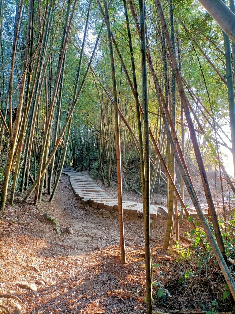 IMG20210130072208.jpg - 雲嘉  大尖山  二尖山步道