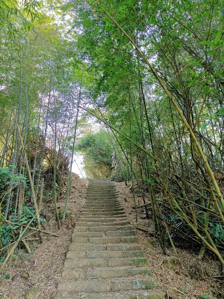 IMG20210130091752.jpg - 雲嘉連峰之  太平山  梨子腳山