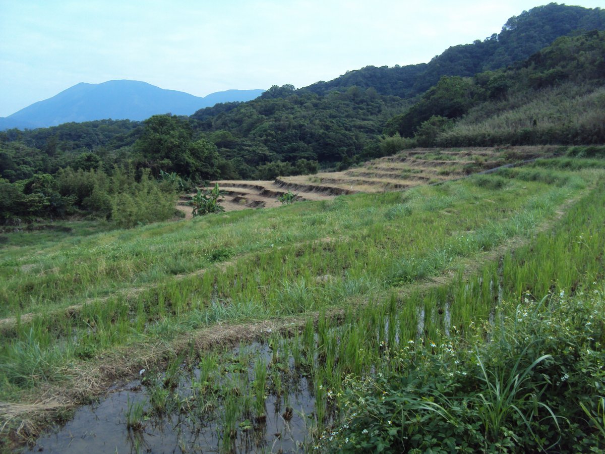 DSC09057.JPG - 金山  葵扇湖田野風光(二) 