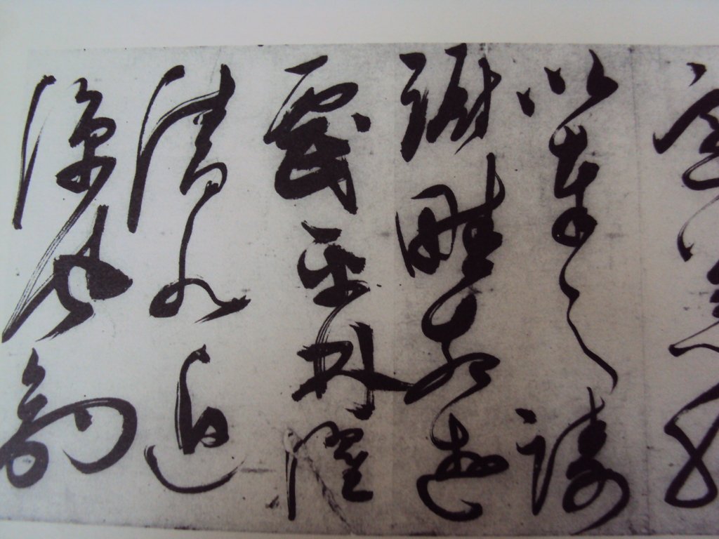 DSC00248.JPG - 陳淳的草書作品