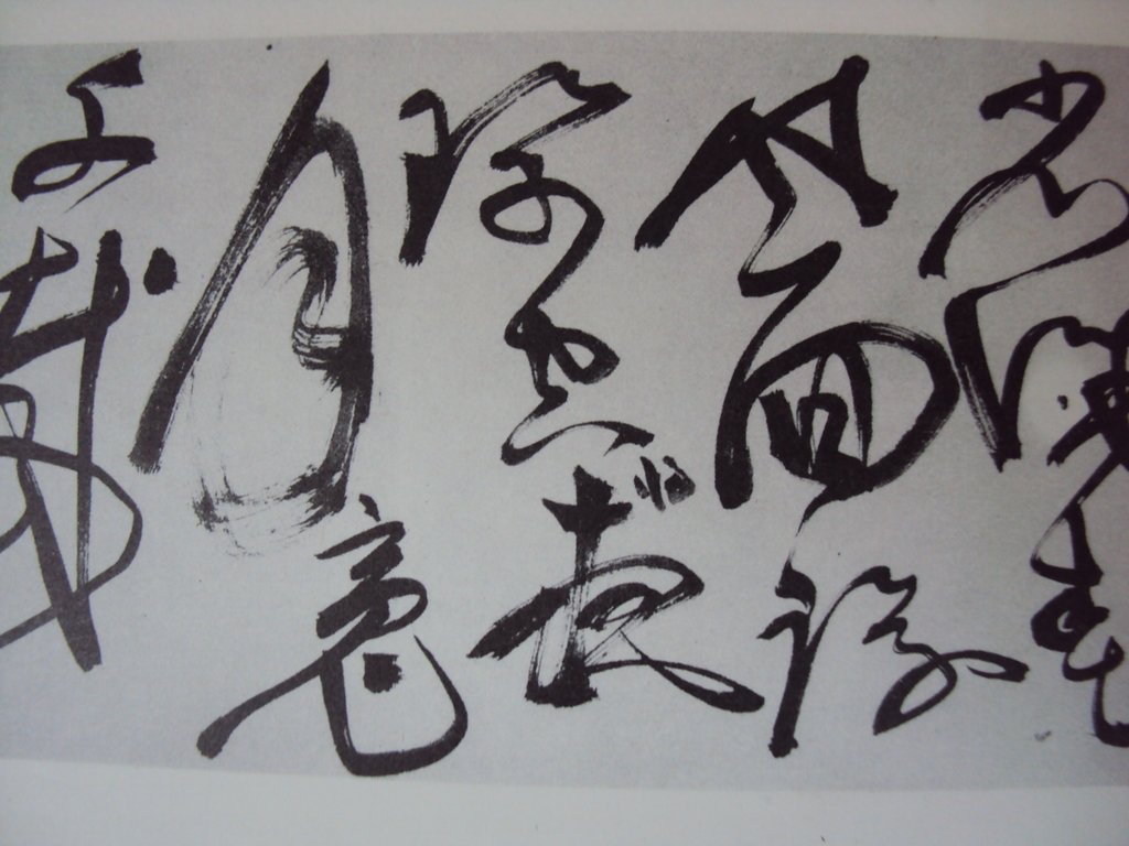 DSC09991.JPG - 陳淳的草書作品