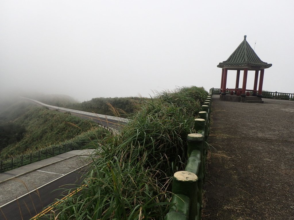 P1203534.JPG - 瑞芳  牡丹山