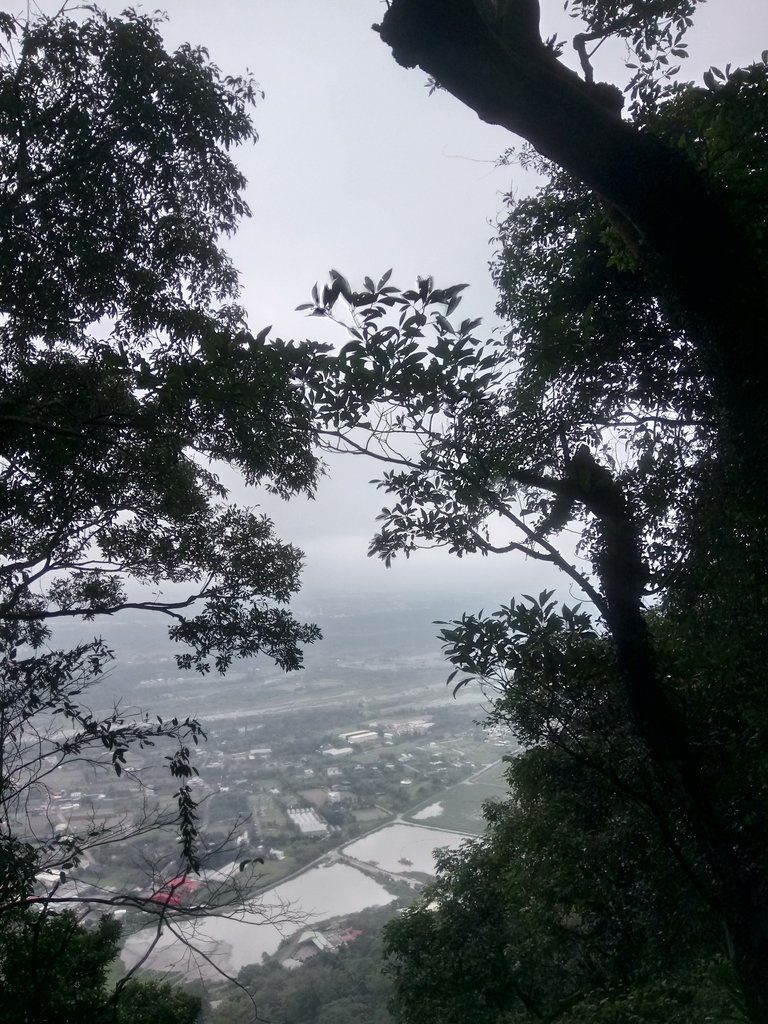 DSC_4871.JPG - 大溪  溪洲山登山步道