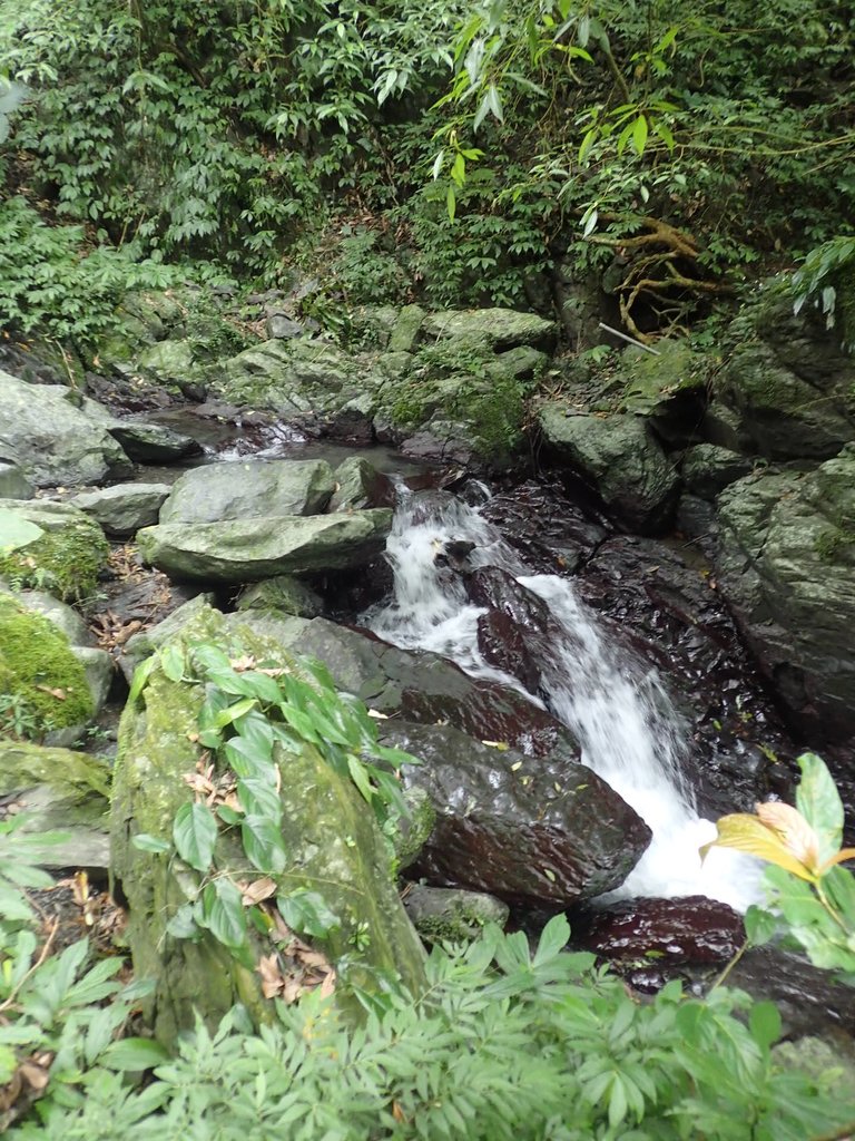 PB159010.JPG - 礁溪  聖母登山步道  (抹茶山)