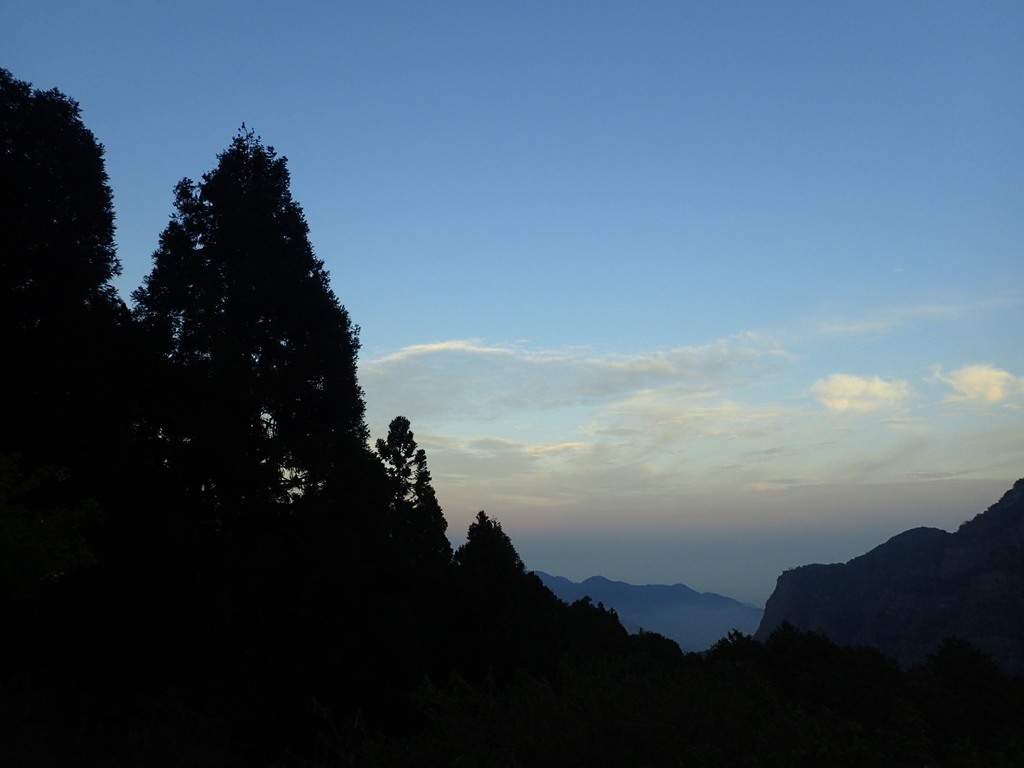 P3268014.JPG - 阿里山  沼平公園  賞櫻