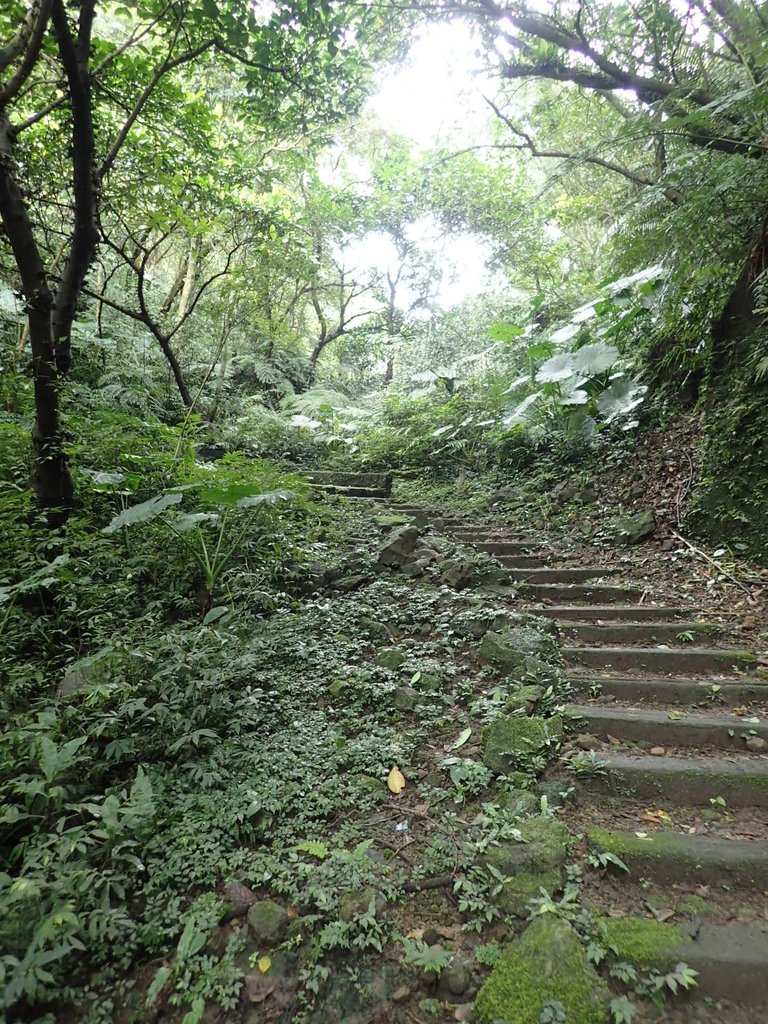 P3018874.JPG - 深坑  土庫岳登山步道  (02)