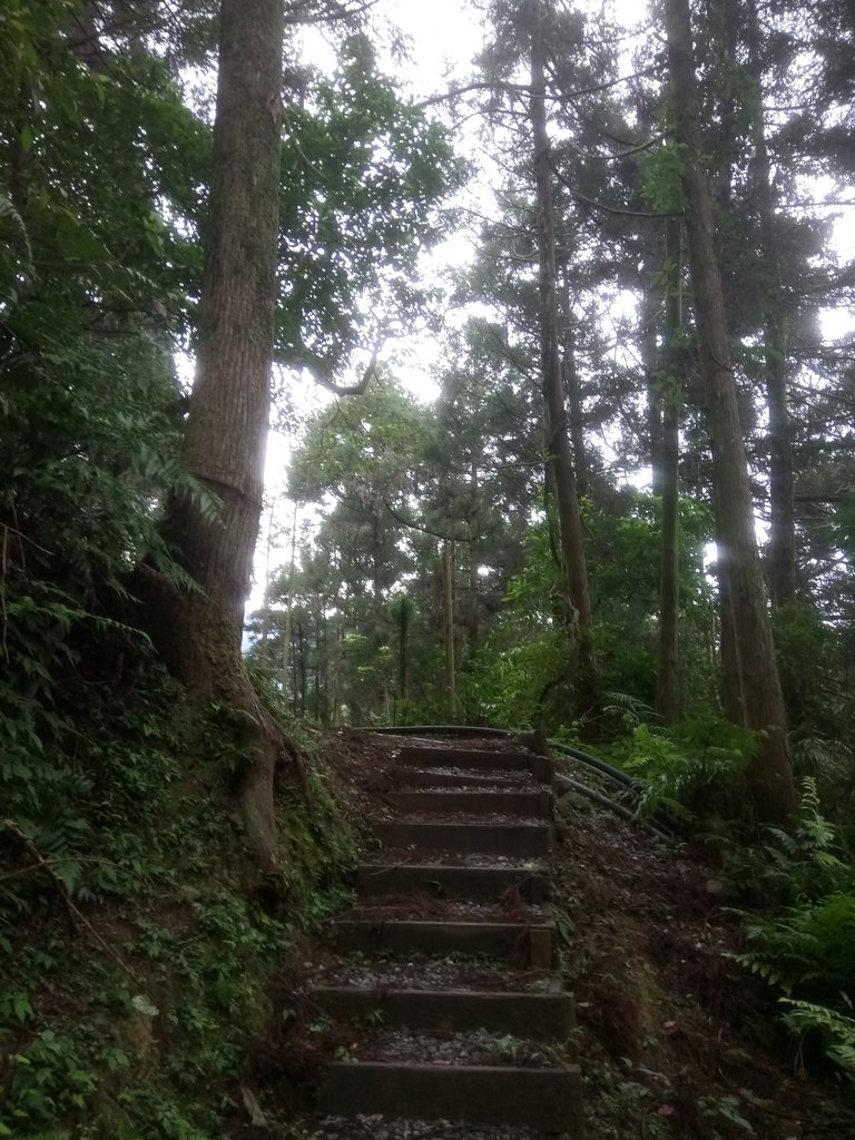 DSC_7193.JPG - 坪林  水聳淒坑步道