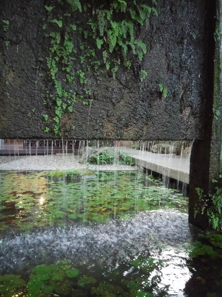 DSC_2144.JPG - 再訪---  大里  菩薩寺