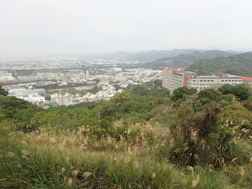 P2095070.JPG - 霧峰  阿罩霧山