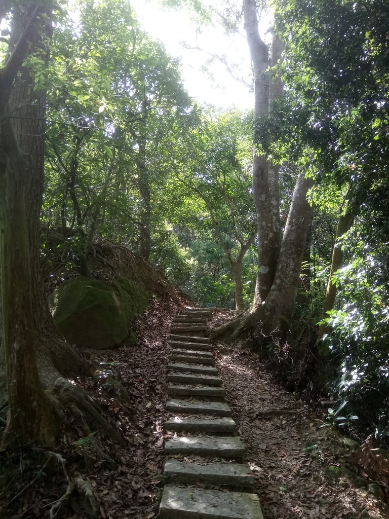 DSC_4579.JPG - 霧峰  青桐林生態園區