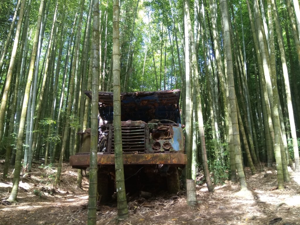 DSC_5232.JPG - 台中和平  長壽山登山步道  (中)