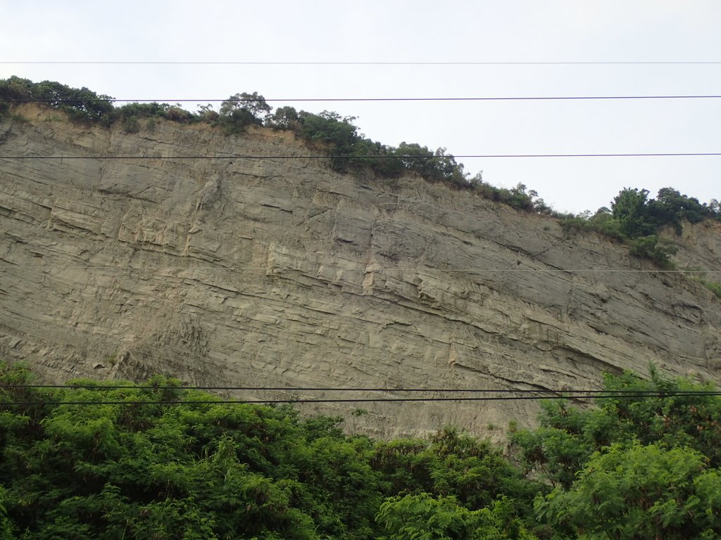 P6285002.JPG - 霧峰  烏溪北岸之  象鼻坑風光