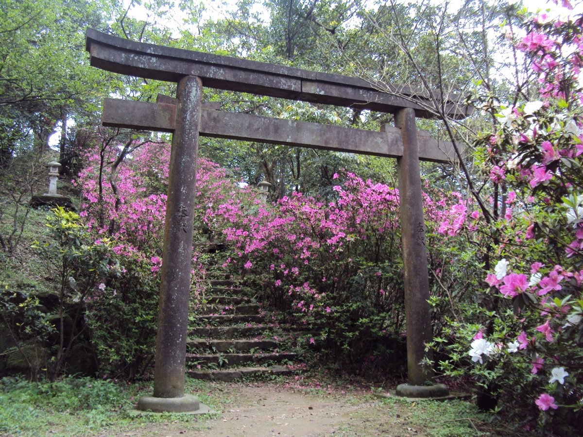 DSC07053.JPG - 再訪  侯硐神社