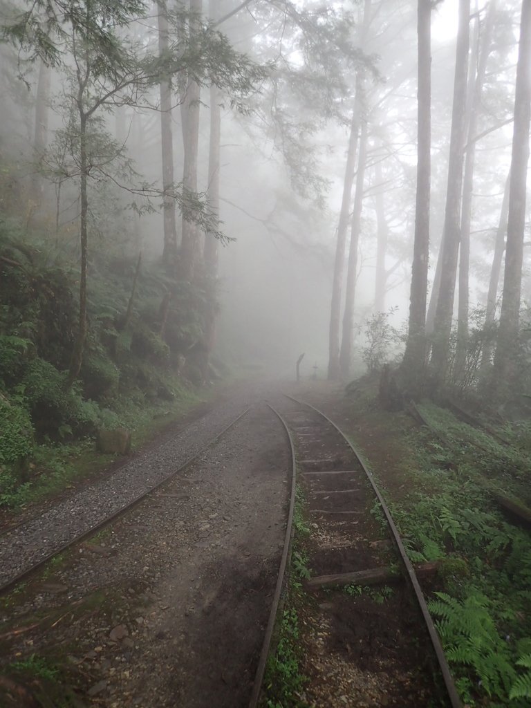 P8226798.JPG - 太平山 見晴懷古步道