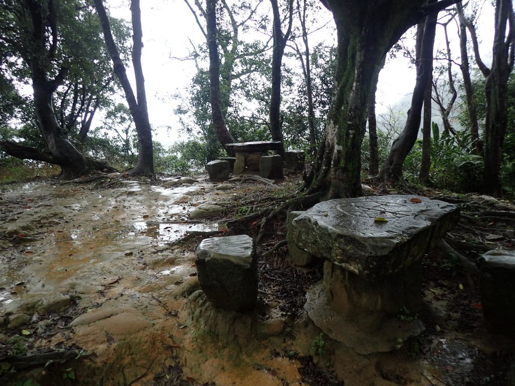 P1062041.JPG - 土城  天上山  登山步道