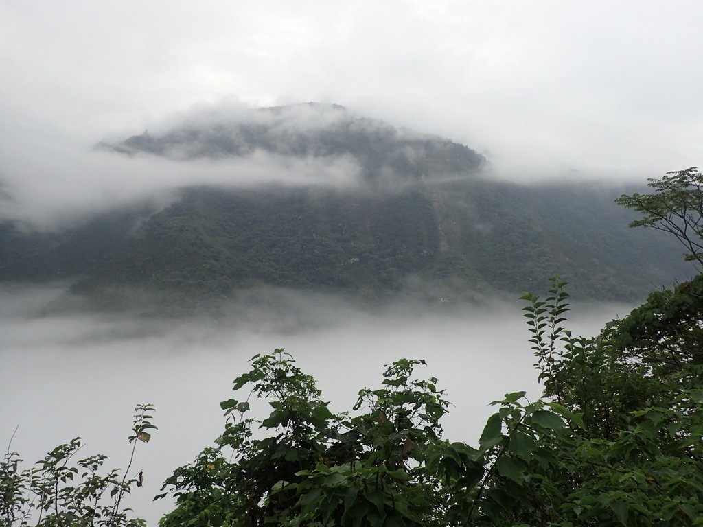 PA231538.JPG - 古坑  草嶺  雲山繚繞