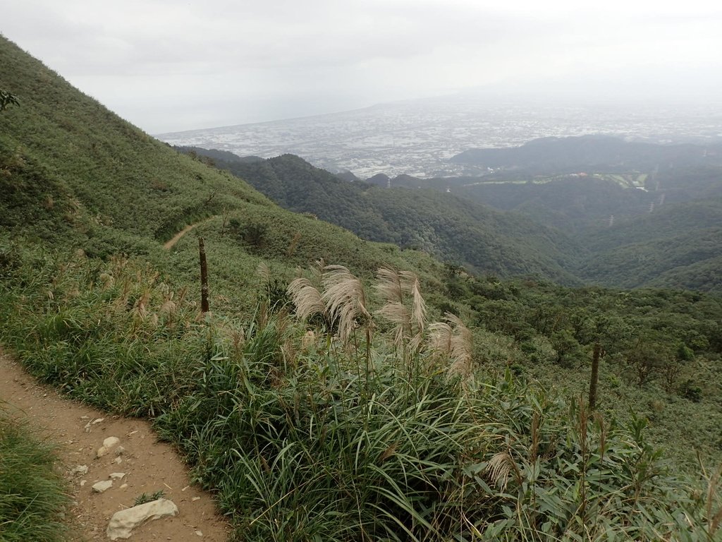 PB159019.JPG - 礁溪  聖母登山步道  (抹茶山)